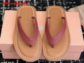 Miu Miu Thong Sandals in Amaranth Red TPU 5Y638E Replica