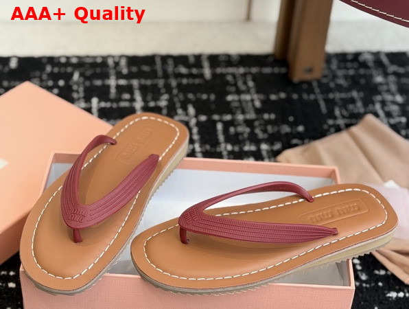 Miu Miu Thong Sandals in Amaranth Red TPU 5Y638E Replica
