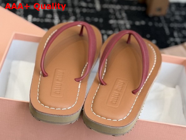 Miu Miu Thong Sandals in Amaranth Red TPU 5Y638E Replica