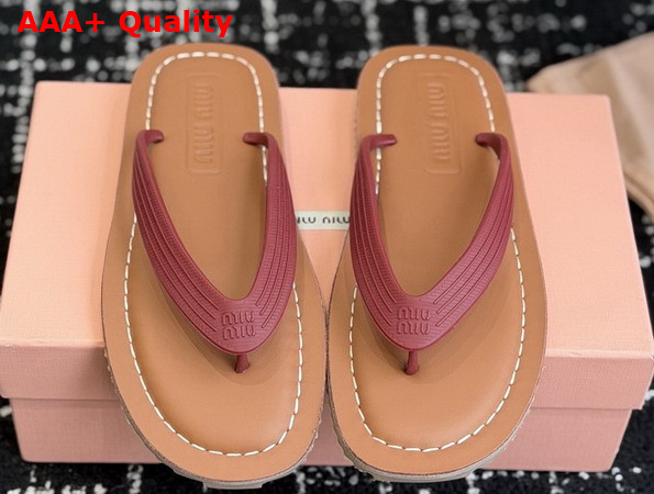 Miu Miu Thong Sandals in Amaranth Red TPU 5Y638E Replica