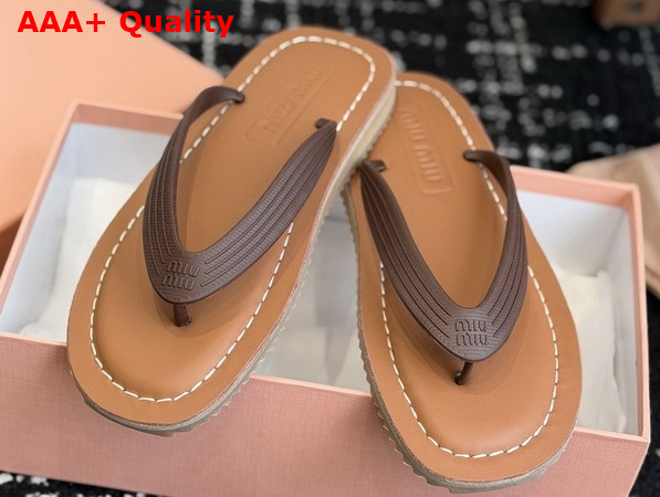 Miu Miu Thong Sandals in Dark Brown TPU 5Y638E Replica