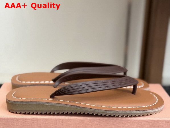Miu Miu Thong Sandals in Dark Brown TPU 5Y638E Replica