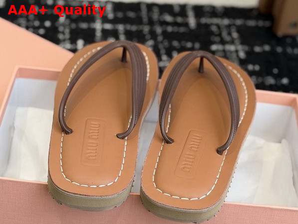 Miu Miu Thong Sandals in Dark Brown TPU 5Y638E Replica