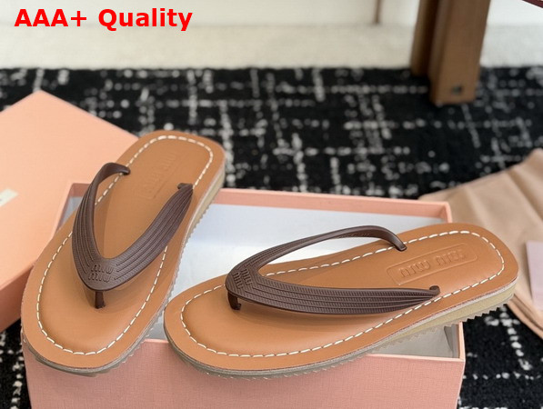 Miu Miu Thong Sandals in Dark Brown TPU 5Y638E Replica
