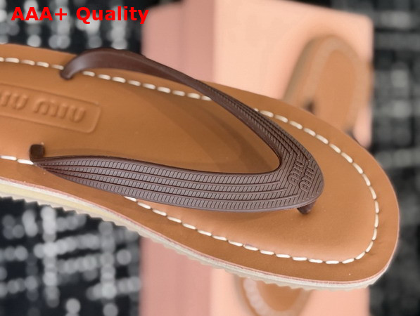 Miu Miu Thong Sandals in Dark Brown TPU 5Y638E Replica