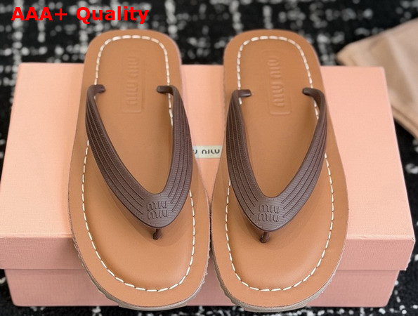 Miu Miu Thong Sandals in Dark Brown TPU 5Y638E Replica
