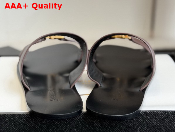 Saint Laurent Babylone Slides in Smooth Leather Dark Brown Replica