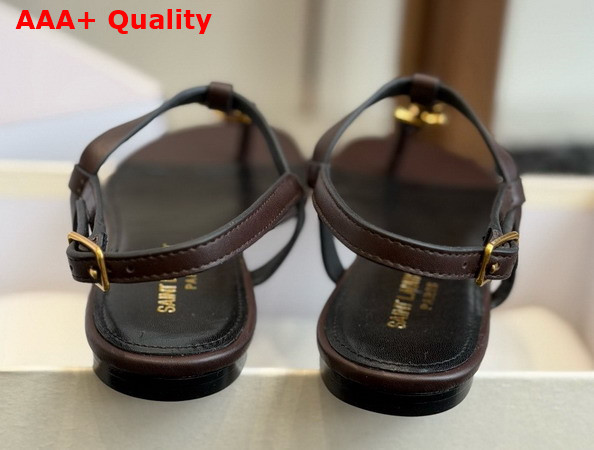 Saint Laurent Cassandra Sandals in Dark Brown Smooth Leather 659817 Replica