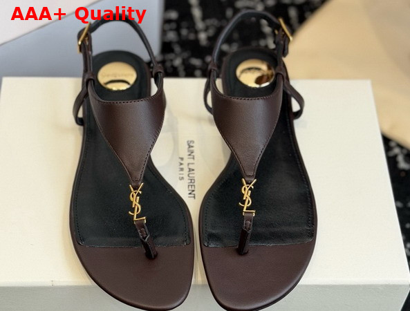 Saint Laurent Cassandra Sandals in Smooth Leather Dark Brown 841570 Replica