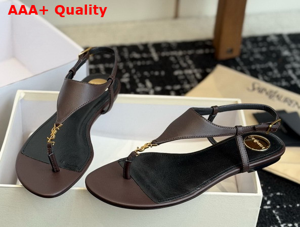 Saint Laurent Cassandra Sandals in Smooth Leather Dark Brown 841570 Replica