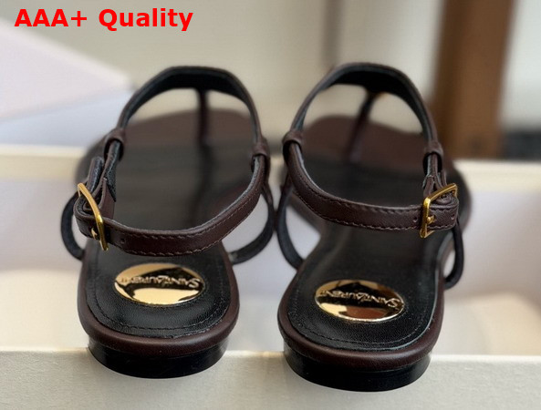 Saint Laurent Cassandra Sandals in Smooth Leather Dark Brown 841570 Replica
