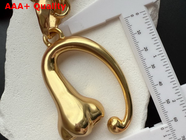 Schiaparelli Nose Necklace in Gold Plated Brass Replica