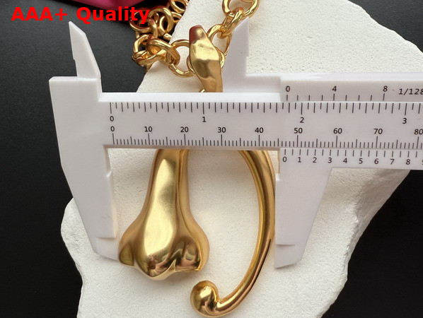 Schiaparelli Nose Necklace in Gold Plated Brass Replica