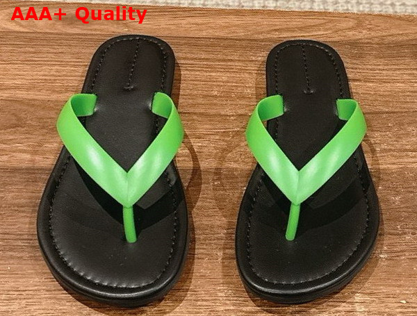 The Row Beach Flip Flop in Green Rubber Replica