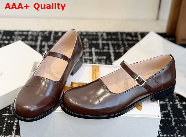 The Row Kai Mary Jane Deep Brown Glossy Calfskin Leather Replica